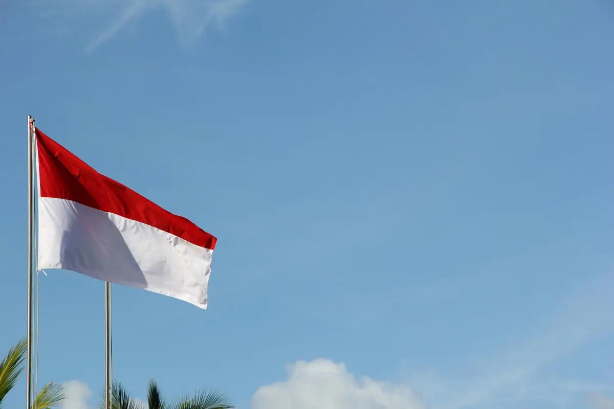Aksi Pria Ber-hoodie Bakar Bendera Merah Putih di Bandung, Polisi Buru Pelaku
