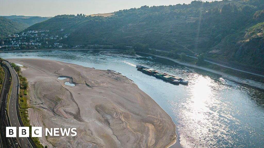 Kondisi Sungai Rhine di wilayah Jerman yang mengalami surut parah akibat gelombang panas ekstrem yang melanda benua Eropa.