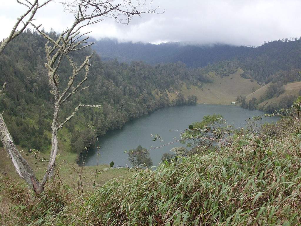 Pemandangan pagi hari di danau Ranu Kumbolo dengan tenda-tenda pendaki berdiri di tepian air dan latar belakang perbukitan hijau.