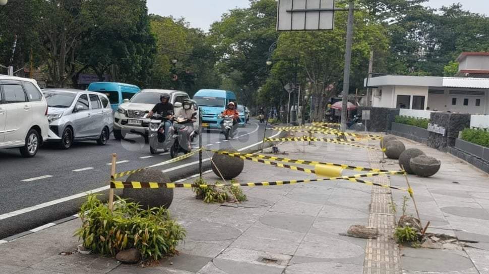 Aksi peninjauan langsung lokasi penebangan pohon di pinggir jalan perkotaan oleh pejabat daerah yang didampingi petugas penegak perda.
